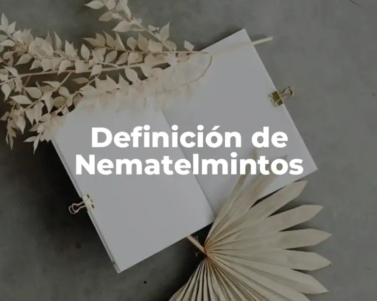 Definición de Nematelmintos