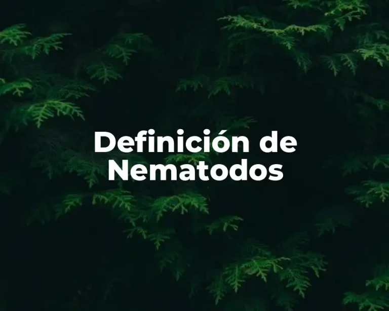 Definición de Nematodos