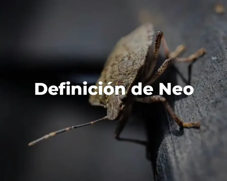 Definición de Neo