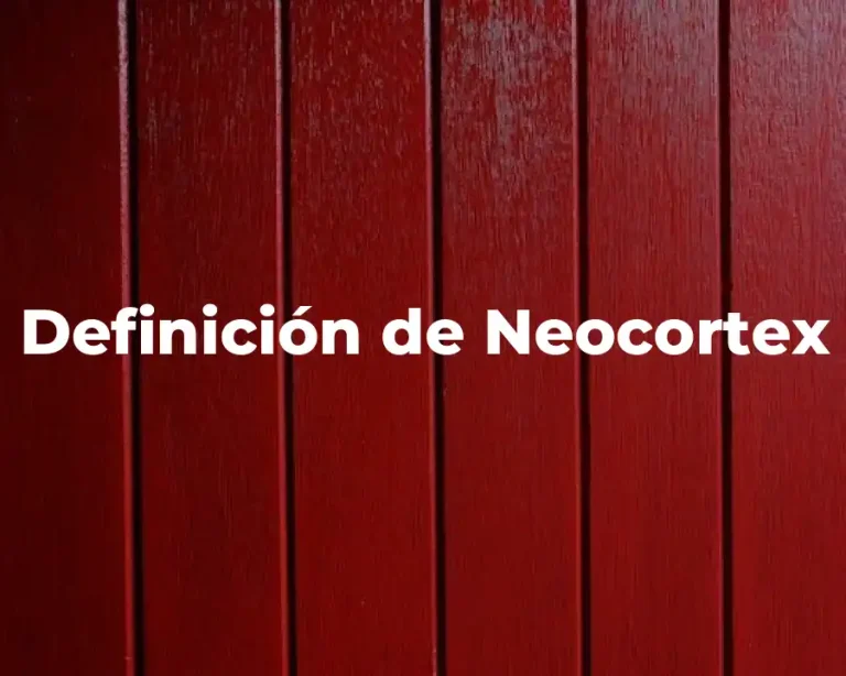 Definición de Neocortex