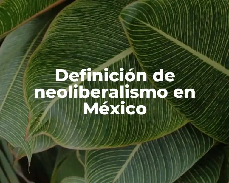 Definición de neoliberalismo en México