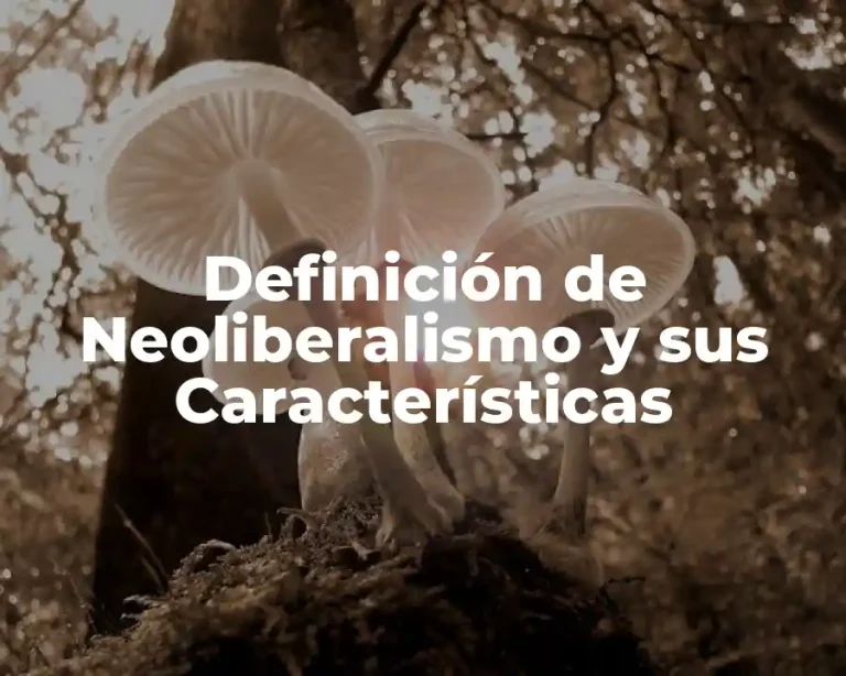 Definición de Neoliberalismo y sus Características