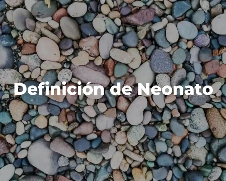 Definición de Neonato