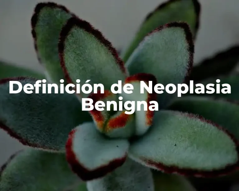 Definición de Neoplasia Benigna