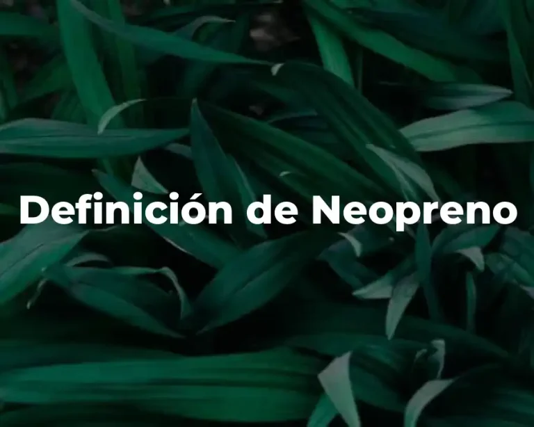 Definición de Neopreno