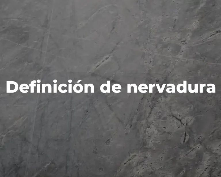 Definición de nervadura