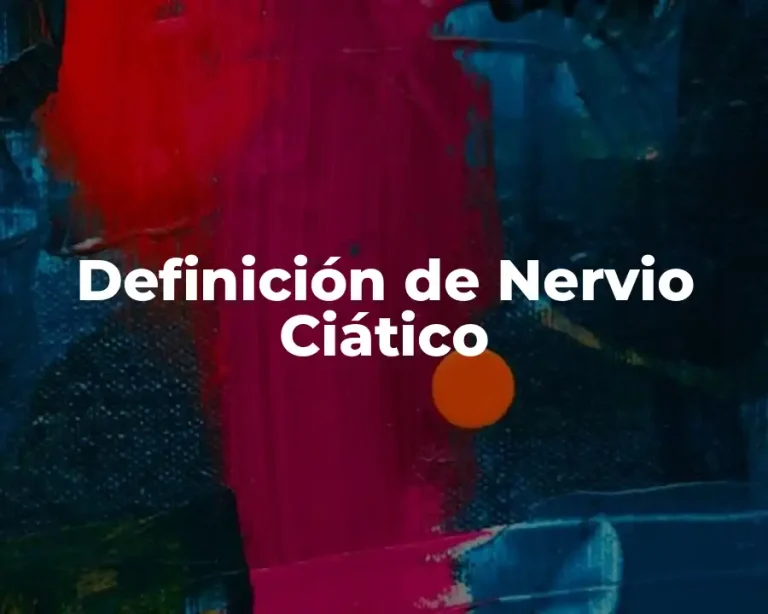 Definición de Nervio Ciático