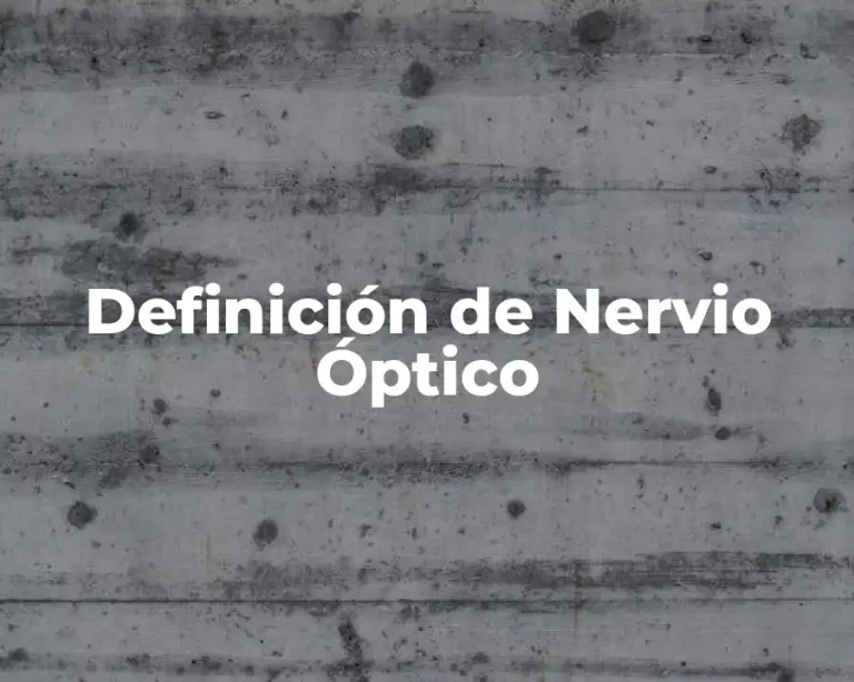 Definición de Nervio Óptico