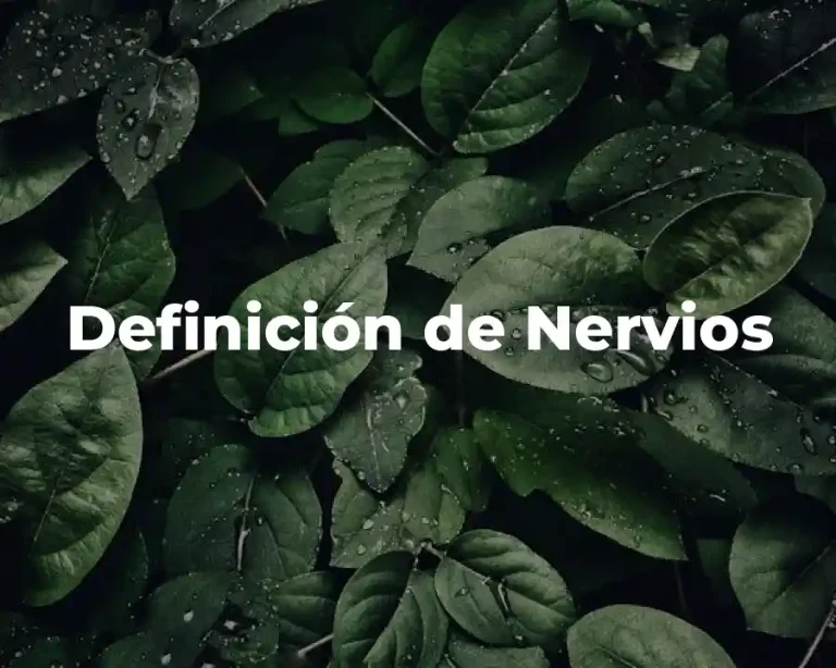 Definición de Nervios