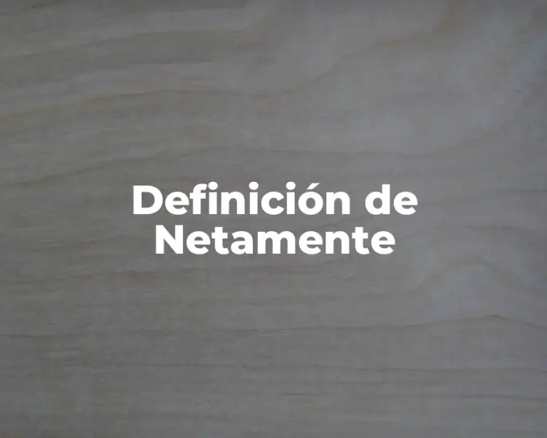 Definición de Netamente