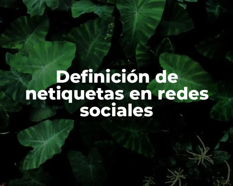 Definición de netiquetas en redes sociales