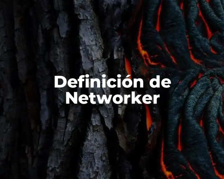 Definición de Networker
