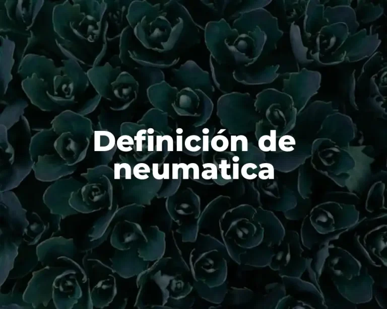 Definición de neumatica