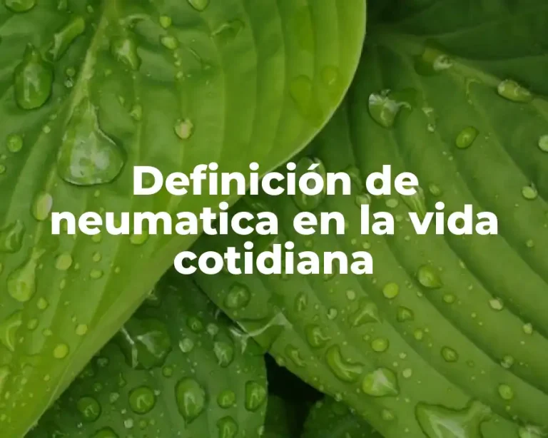 Definición de neumatica en la vida cotidiana