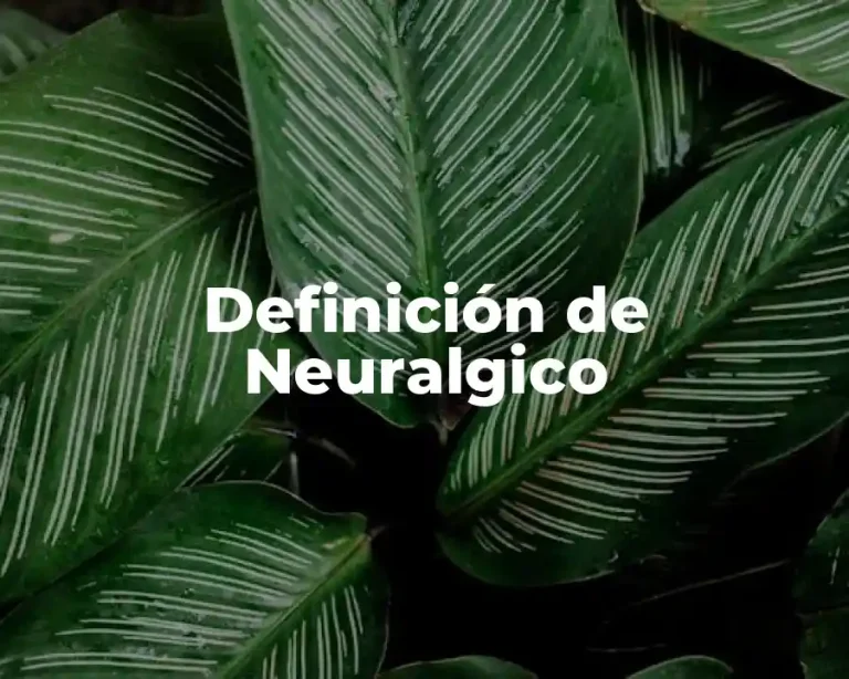 Definición de Neuralgico