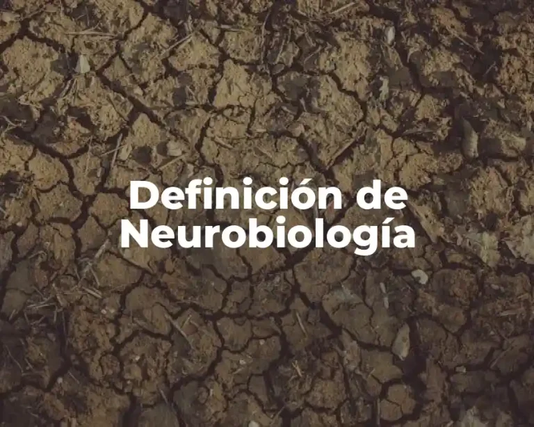 Definición de Neurobiología