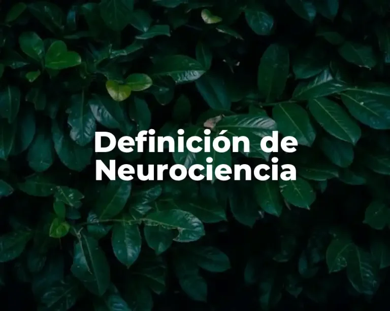 Definición de Neurociencia