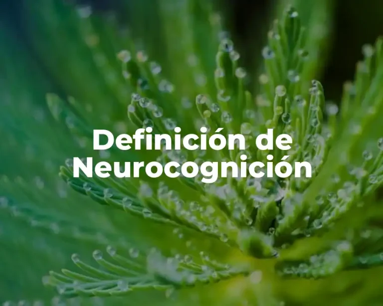Definición de Neurocognición