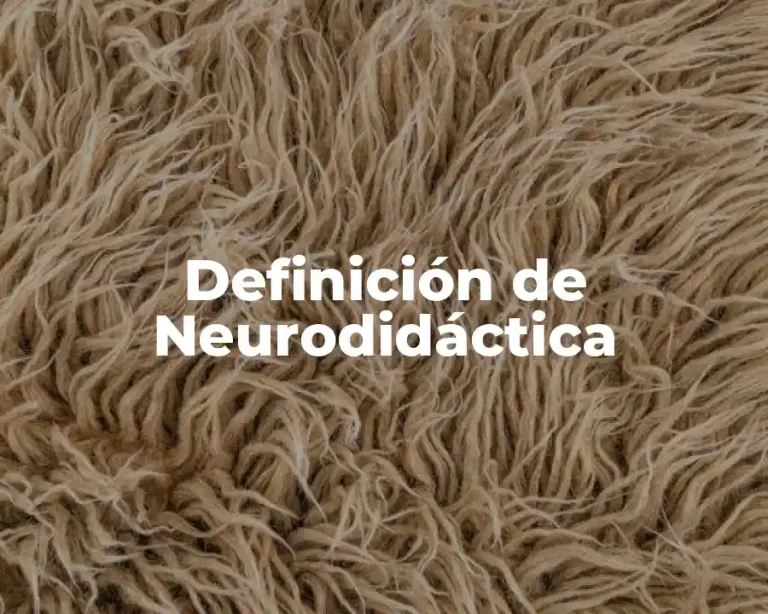 Definición de Neurodidáctica