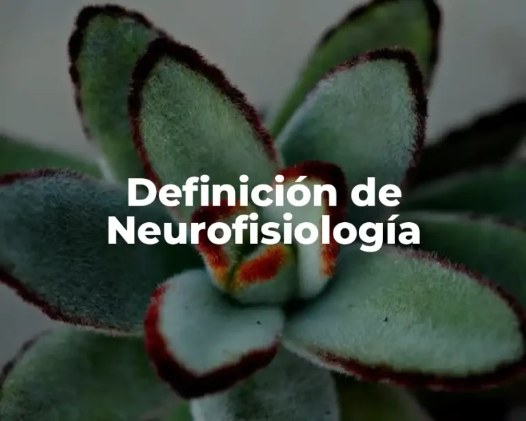 Definición de Neurofisiología