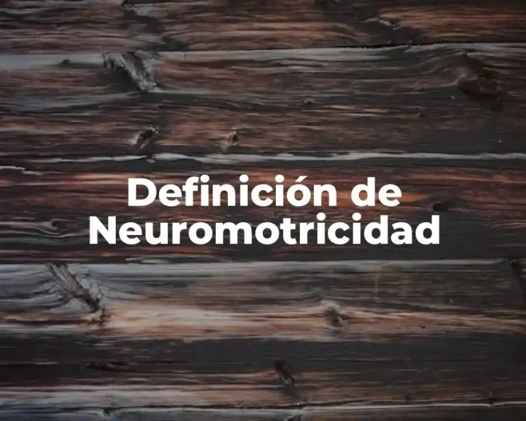 Definición de Neuromotricidad