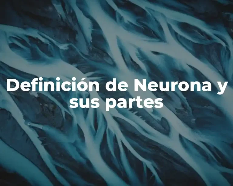 Definición de Neurona y sus partes