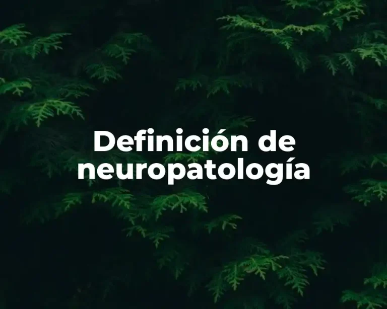 Definición de neuropatología