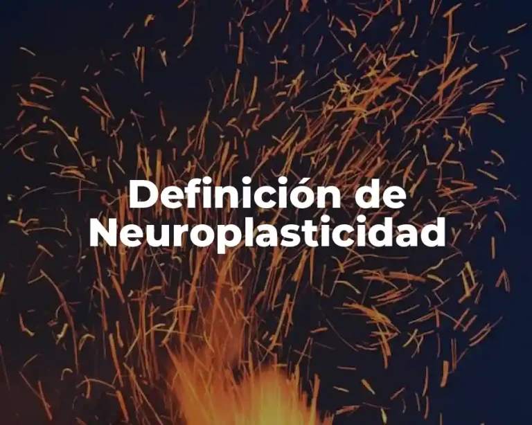 Definición de Neuroplasticidad