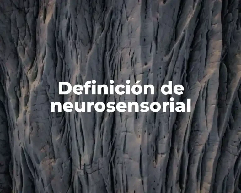 Definición de neurosensorial