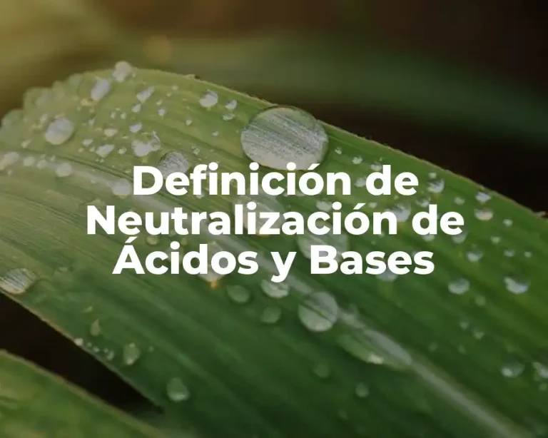 Definición de Neutralización de Ácidos y Bases