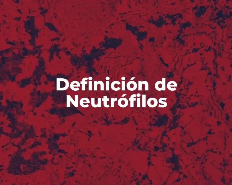 Definición de Neutrófilos