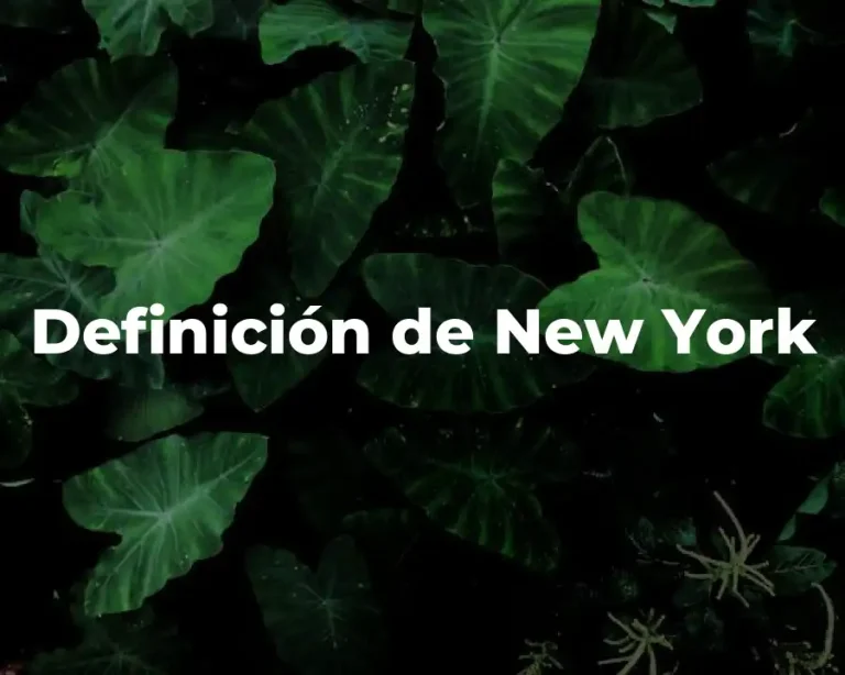 Definición de New York