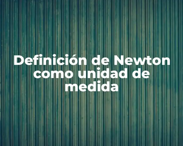 Definición de Newton como unidad de medida