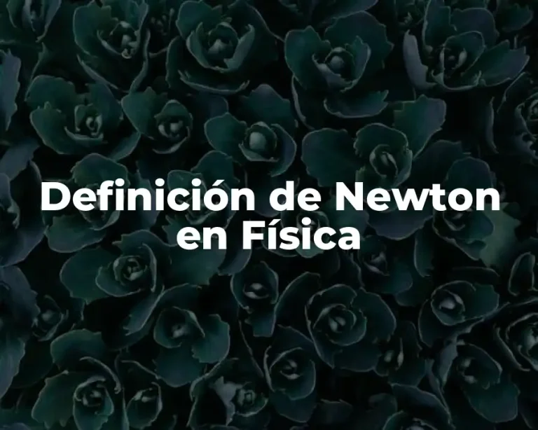 Definición de Newton en Física