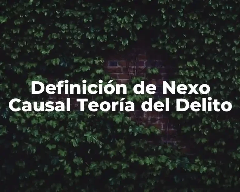 Definición de Nexo Causal Teoría del Delito