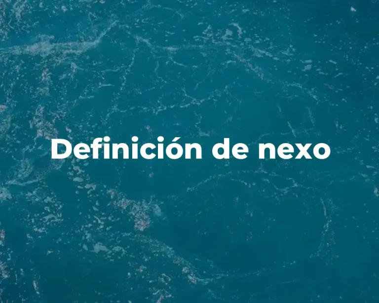 Definición de nexo
