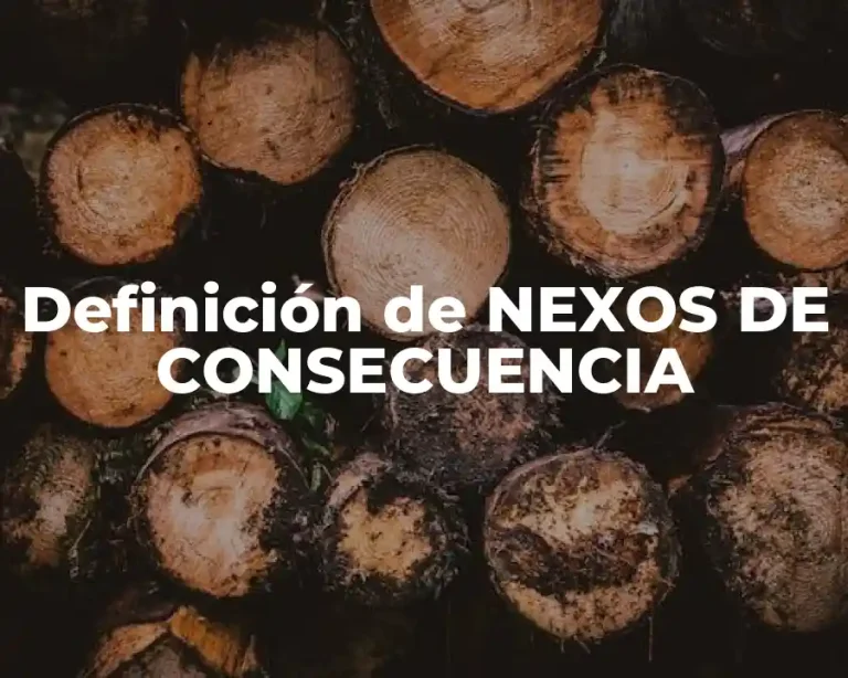 Definición de NEXOS DE CONSECUENCIA