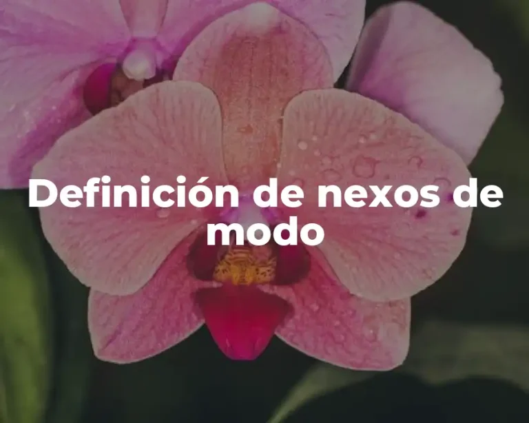 Definición de nexos de modo