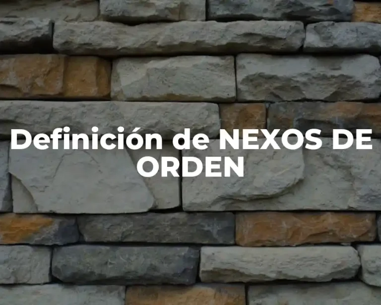 Definición de NEXOS DE ORDEN