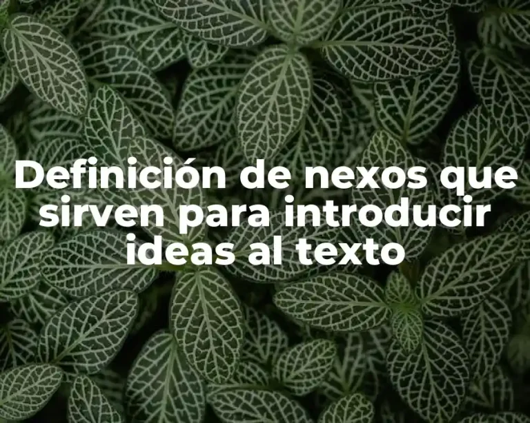 Definición de nexos que sirven para introducir ideas al texto