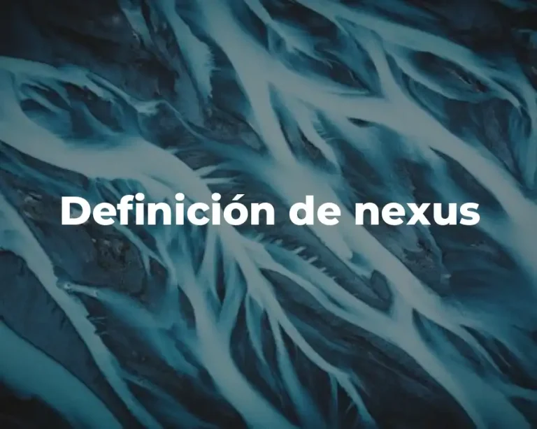 Definición de nexus