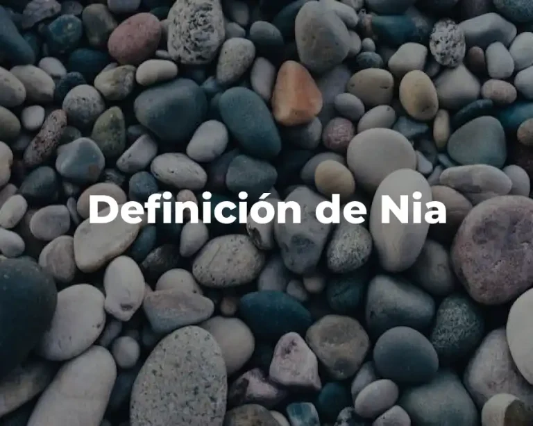 Definición de Nia