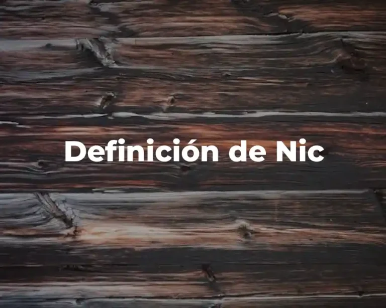Definición de Nic