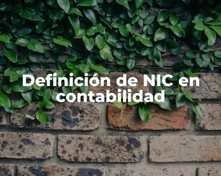 Definición de NIC en contabilidad