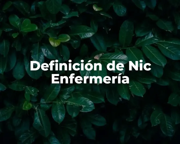 Definición de Nic Enfermería