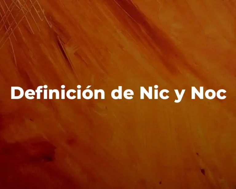 Definición de Nic y Noc