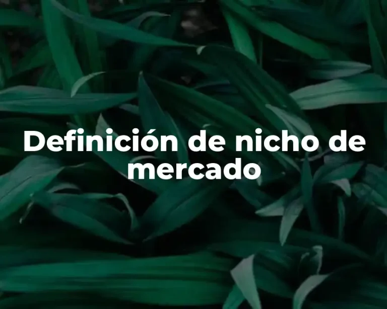 Definición de nicho de mercado