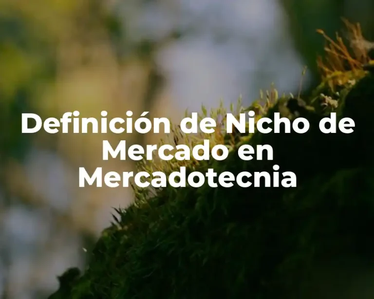 Definición de Nicho de Mercado en Mercadotecnia