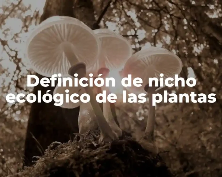 Definición de nicho ecológico de las plantas