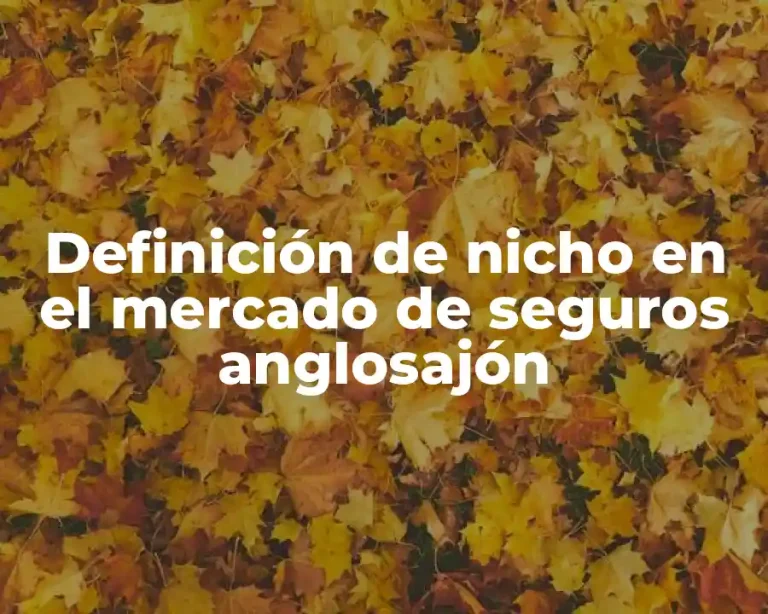 Definición de nicho en el mercado de seguros anglosajón